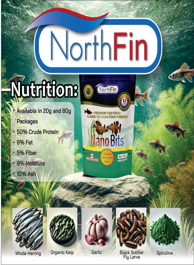 Northfin نورثفين نانو بيتس طعام أسماك ممتاز - حبيبات بطيئة الغرق بحجم 0.5 مم لأسماك النانو، والبيتا، والدانيو - تركيبة غنية بالبروتين، مصنوعة من الحشرات مع أوميغا 3، وسبيرولينا، ومحسنات لون طبيعية (20 جم) - Image 4